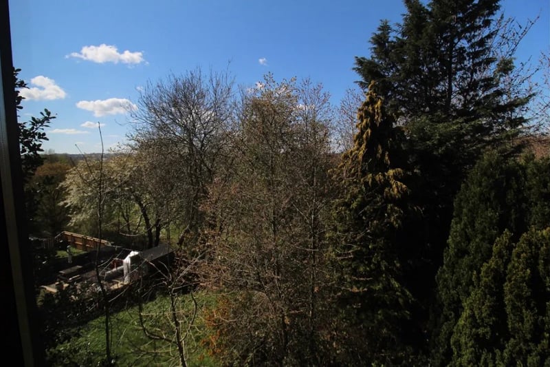 The view from the living room features woodland views 