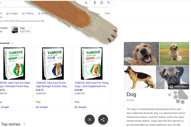  If you Google the term ‘dog’ there is a little button with a paw, under the pictures on the right hand side of the page. Click on that button and an animated dog leg will appear to leave a paw on the screen, along with a small woof. This also works for ‘cat’, ‘kittens’ ‘puppy’, ‘canine’ and ‘puppies’.  
