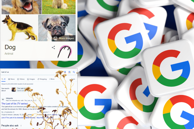 Google Easter eggs include dog search with paw and Last of Us search with mushrooms 