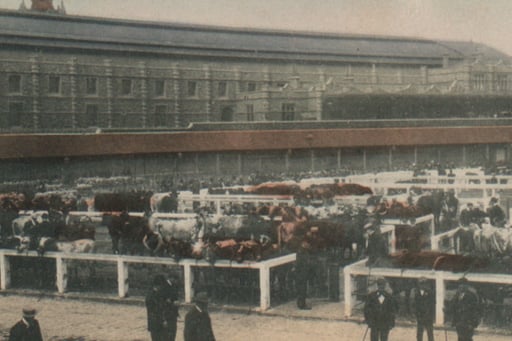 The Bristol cattle market was located next to Bristol Temple Meads from 1830 to 2005. It was created to provide accommodation for 2,000 cattle, 7,000 sheep, 300 horses and 500 pigs. On Thursday market day, people living or working nearby say they could remember the smell!