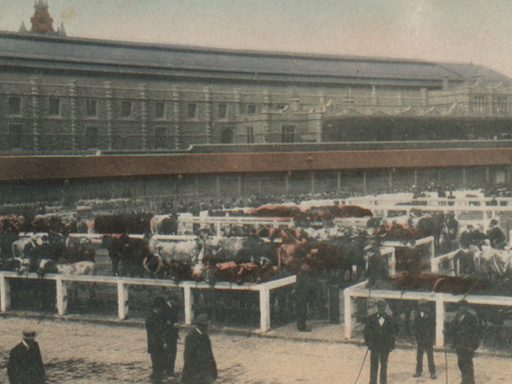 The Bristol cattle market was located next to Bristol Temple Meads from 1830 to 2005. It was created to provide accommodation for 2,000 cattle, 7,000 sheep, 300 horses and 500 pigs. On Thursday market day, people living or working nearby say they could remember the smell!