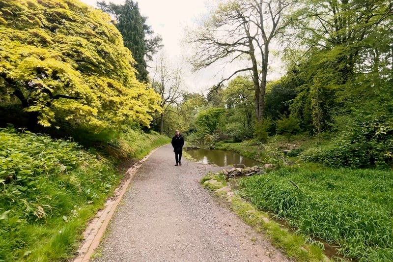 Walking through Lickey Hills is no easy feat. The 524 acres country park has a varied landscape with woodlands, heathland and grassland as well as incredible diversity of wildlife. Lickey Hills has a Green Flag Award and is great for a day out. (Photo - Local TV)