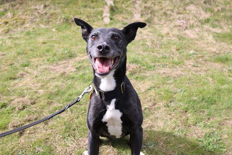 Cooper struggles a good bit with his confidence so is looking for someone to be with him at all times. He enjoys hiking as much as his teddies.