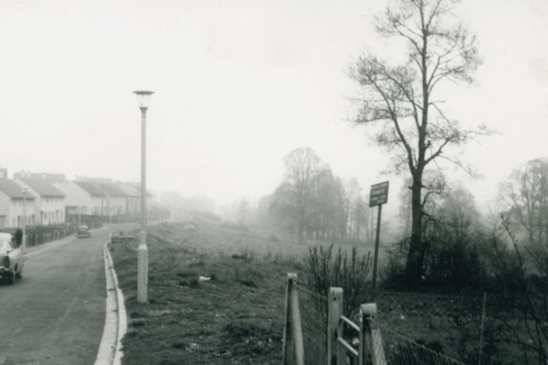 Whittock Road photographed in the 1960s, with parkland facing houses.