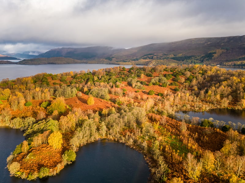 Inchlonaig Island measures just under 200 acres and is home to around 800 yew trees