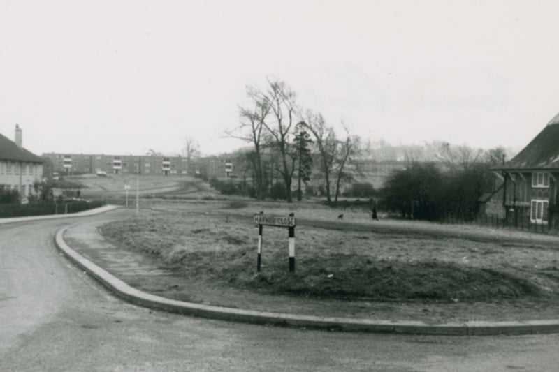 Harmer Close with the tea chalet on the right - it was demolished in the 1960s.