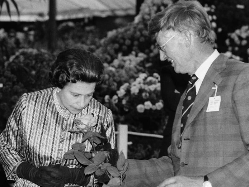 Queen Elizabeth II samples the fragrance of an Ann Aberconway rose held by grower Robert Mattock (1927 - 2002) at the Chelsea Flower Show. (Photo by Graham Turner/Keystone/Hulton Archive/Getty Images)