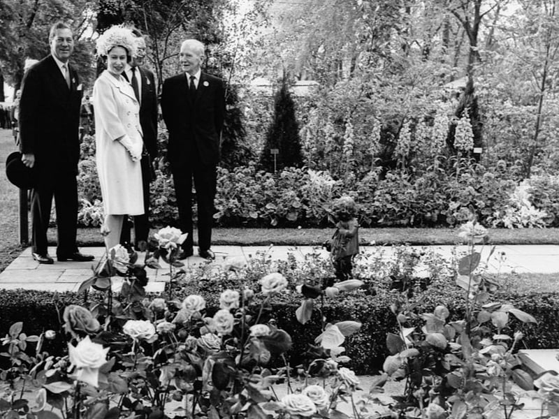 The Queen viewing a rose bed, exhibited by Popular Gardening magazine. (Photo by George Freston/Fox Photos/Hulton Archive/Getty Images)