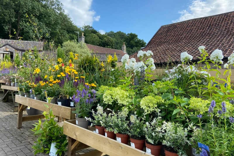 This well-established garden centre near Bristol scores 4.5 and is described as a ‘lovely place with friendly service’. ‘Staff know their stuff’ said another, with several visitors praising its food and the fact it serves the ‘best breakfast’.