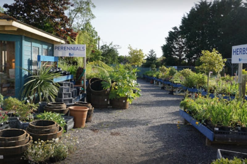 Scoring 4.8 on Google, Middlecombe Nursery has ‘helpful, knowledgeable staff, great value and a brilliant selection all year round’ according to one regular. Another liked the fact there was ‘always a friendly face’ at this family-run business.