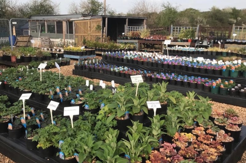 Scoring an impressive 4.9 on Google Reviews, That Plant Place has an army of green-fingered admirers. One described it as having ‘an excellent choice of plants at a reasonable price point and great service’. ‘Lots of variety, very well priced, friendly staff’ beamed another satisfied customer.