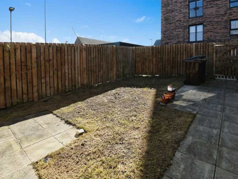 Back garden