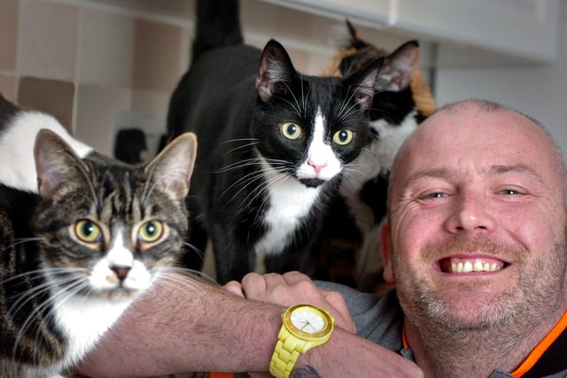 Colin Dixon, a volunteer with the Sunderland charity Animal Krackers was joined by some feline friends for this 2012 photo.