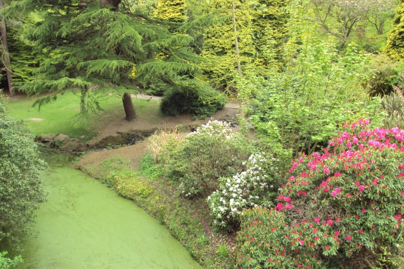 Sefton Park is a well-known beauty spot in Liverpool and one of its standout features has to be the Fairy Glen. The little nook is surrounded by greenery and flowers, and features a lovely waterfall.