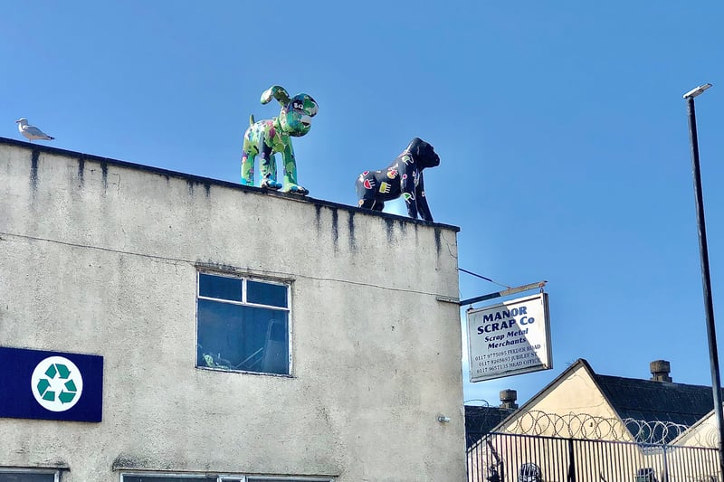 This scrap metal merchants on Feeder Road displays a life-size gorilla and a Gromit sculpture, both of which were acquired from the Wallace & Gromit’s Grand Appeal  auction to raise funds for the cardiology unit at Bristol Children’s Hospital.