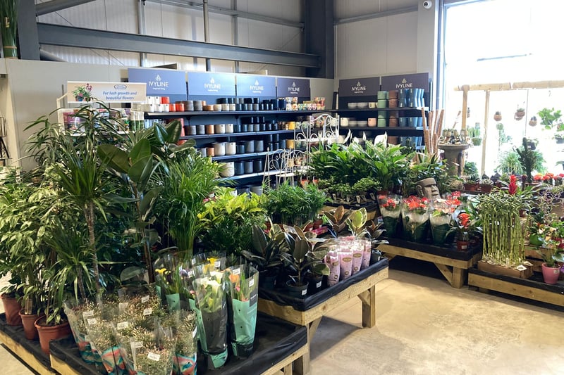 Whitakers Garden Centre, Prescot, has an average 4.3 star rating on Google, from over 800 reviews. One reviewer said: “It’s a lovely space to wonder round and has a great variety of products.”