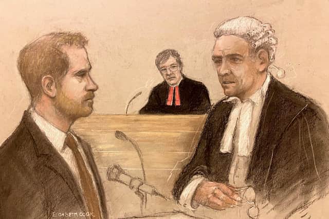 Court artist sketch by Elizabeth Cook of the Duke of Sussex being cross examined by Andrew Green KC  (Elizabeth Cook/PA Wire)