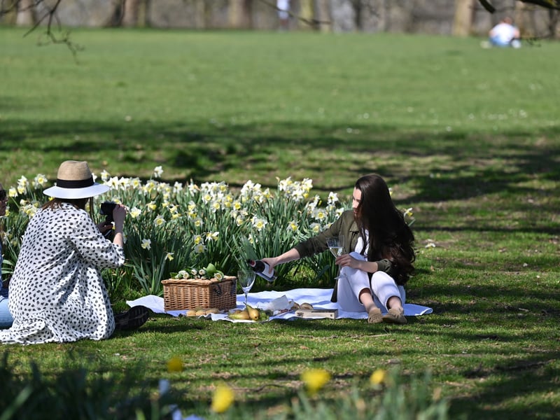 With plenty of lush parks to pick from and Sunday's forecast looking promising, a picnic may be a great way to spend Mother's Day 2025.