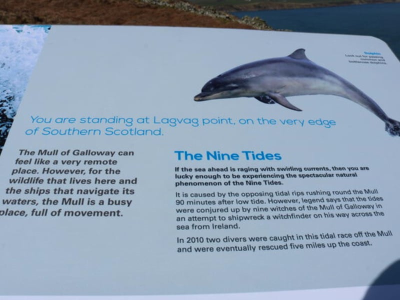 Lagvag Point can be found on the Mull of Galloway which is the southernmost point of Scotland. Hidden Scotland says that the “Mull is one of the best places to see them (Dolphins) in the country.” Marine wildlife on offer here includes Bottlenose Dolphins, Common Dolphins, Harbour Porpoises and Minke Whales.