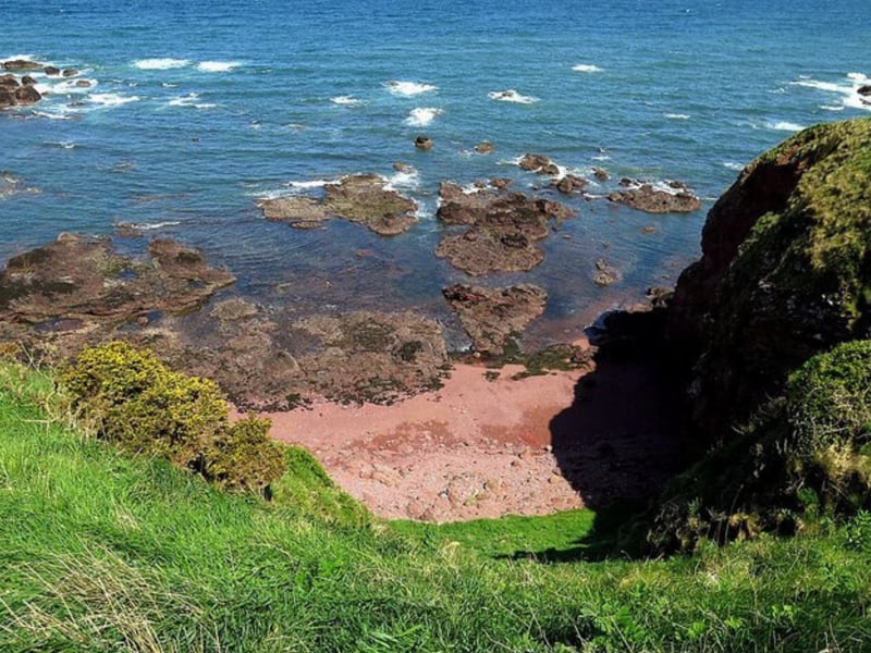 Killiedraught Bay is located northwest of Eyemouth, close to the hamlets Hallydown and Highlaws Farm. The National Trust tells us: "Within the Scottish Wildlife Trusts 'St Abbs and Eyemouth Voluntary Marine Reserve', is one of the finest rock pooling sites in Scotland. At low tide you’ll find seaweeds such as bladderwrack and kelp, as well as animals such as the breadcrumb sponge, bootlace worm and butterfish.”