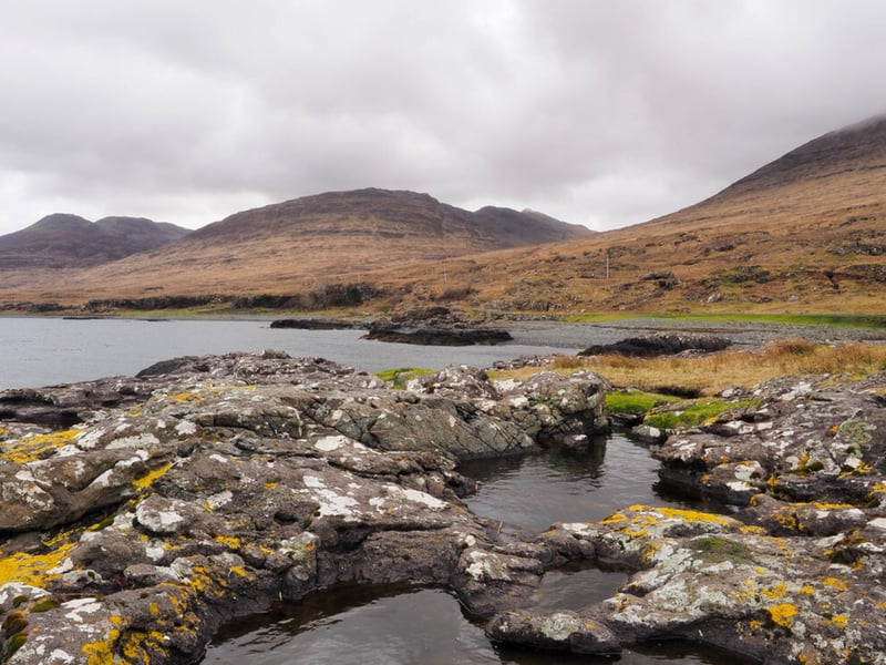 Loch Na Keal or “Loch of the Cliffs” is the principal sea loch on the Isle of Mull which extends over 20 km inland. Usual marine suspects aside, Brett Westwood with Discover Wildlife reported that within “the rocky shores at Loch na Keal on Mull, I’ve even seen toad tadpoles in freshwater pools, just a few metres from the salty ones.”