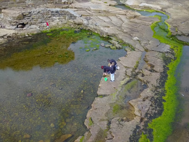Roome Bay can be found next to the village of Crail in the Kingdom of Fife, approximately 10 miles down from St Andrews’ coast. Roome Bay Beach is composed of a sandy upper beach with rock pools by the water’s edge, all in a tranquil and quiet area.