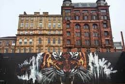 The best place to see the latest and greatest of the Glasgow graffiti scene is down by the Broomielaw South Portland Suspension Bridge - in which street artists will paint everything from graffiti tags to intricate murals and memorials.