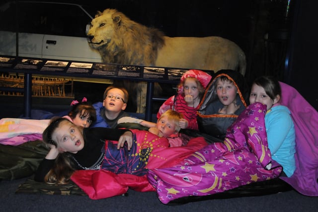 Pupils looked spooked by a scary lion watching over them in Sunderland Museum during the mass sleepover in 2012.