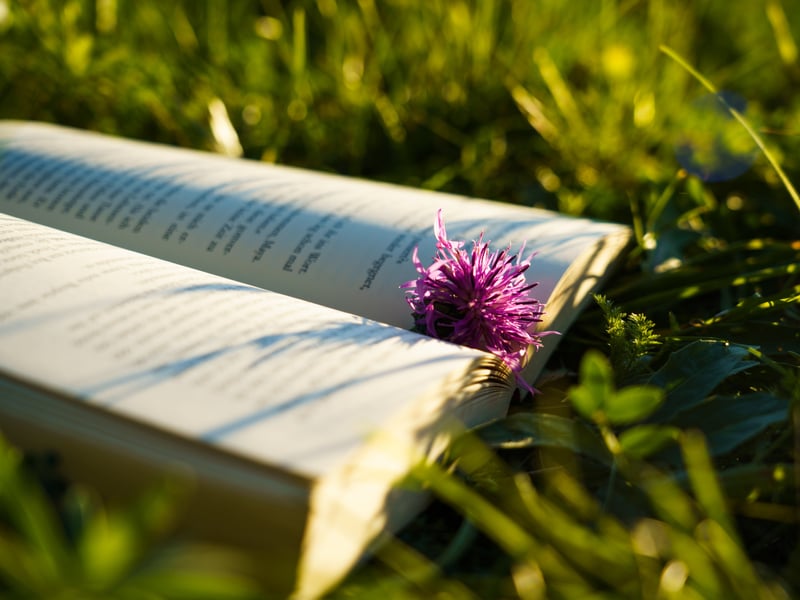 Our Pictish ancestors had their own language thought to be Brythonic in origin. However, that tongue is long-extinct and so Gaelic is thought of as Scotland’s “oldest living language” by many. The Scotland Organisation even says it is considered “the founding language of the country”. Therefore, Gaelic speakers can enjoy the rich literature and poetry that spans Scottish history, soaking in the very best of these ancient texts in their purest form; free of loss via English translation. Many of us have heard of the Scots Leid poet Robert Burns, but how many of us know about the Gaelic equivalent Rob Donn? Check him out.