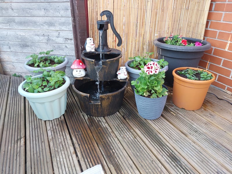 Rebecca's plant pots provide an excellent place for wildlife to thrive.