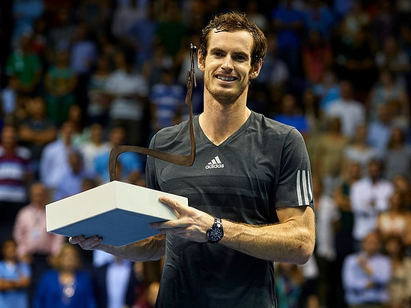Murray's third and final win of 2014 came in the ATP 500 World Tour Valencia Open tennis tournament at the Ciudad de las Artes y las Ciencias. He beat Tommy Robredo of Spain in the final.