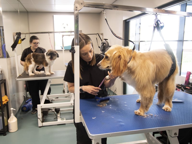 The Pet Grooming centre in action.