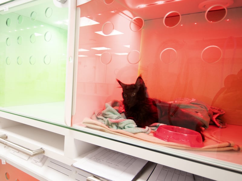 One of the patients at the new extended hospital.