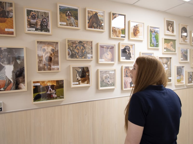 The pet store and hospital is located on Spring Ram Retail Park. 