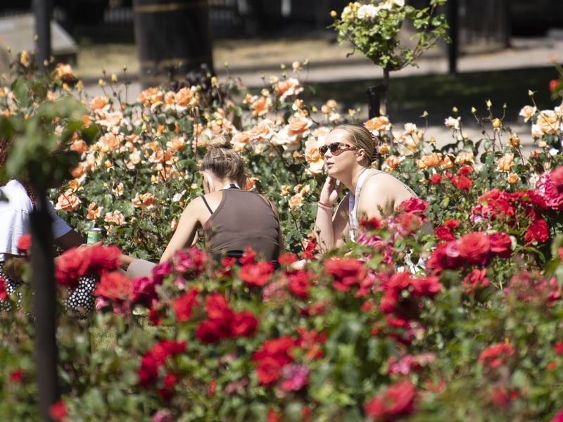 Thursday and Friday will also see around 26°C and sun.