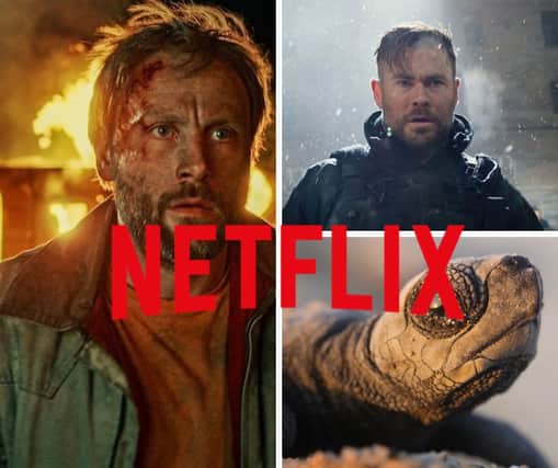 Here are 8 of the best new releases on Netflix this week in June.