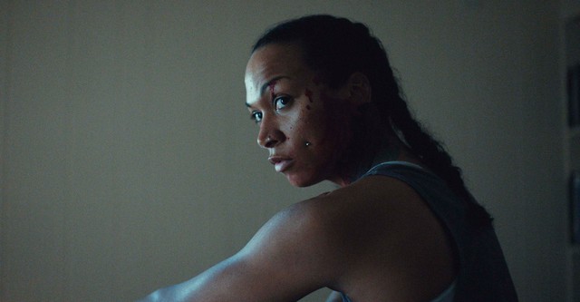 Once a champion boxer, a woman takes on her toughest fight yet when she goes in search of her missing sister.