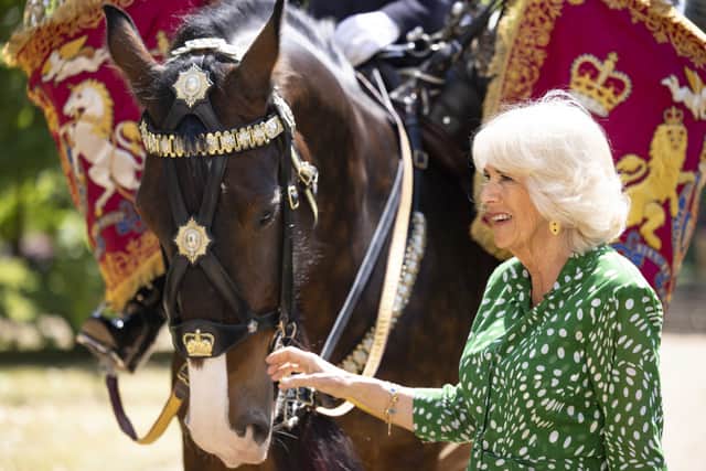 Queen Camilla with Juno, the first mare to be a Household Cavalry Drum Horse (Credit: Royal.uk)