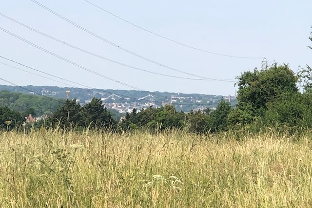 Walk to the top of the meadow and the city-wide views are stunning, including Clifton Suspension Bridge in the distance.