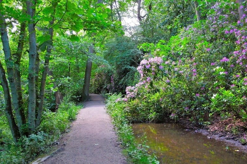 Daniel Jordan said: “Meanwood Valley trail. Walked into city on Saturday from Alwoodley 10km and amazing walk. Cocktails at the end.” Photo: Yorkshire Evening Post