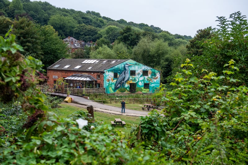 A visit to Meanwood Farm this Sunday was suggested by readers.