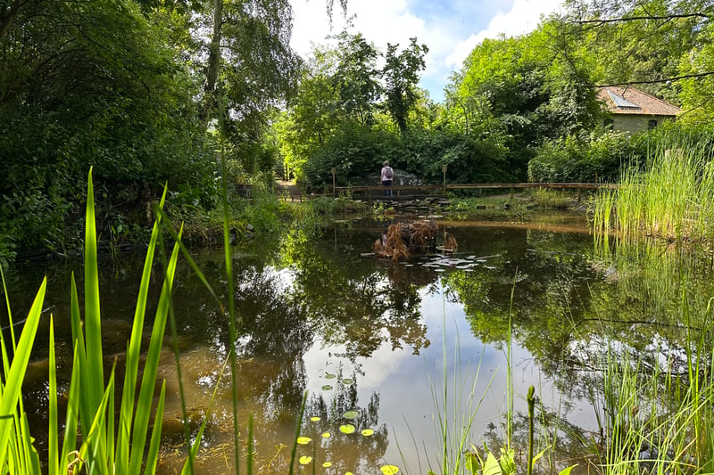 The Mill Pond has been a home to wildlife since 1978 after the original pond broke its bank in the storm of 1968. It is a place where families can look out for everything from kingfishers to rats to trout in the water. Fundraising has also been taking place to improve the area.