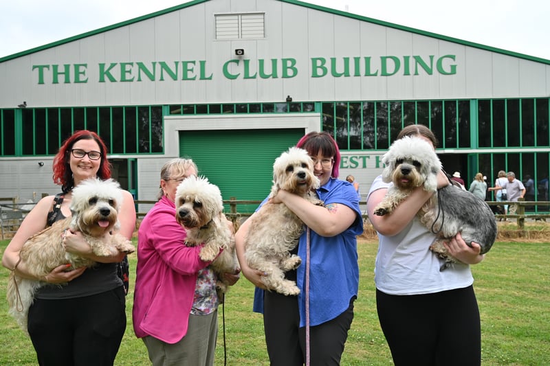 Only 112 registerations in 2022 for this breed. (Photo - Heidi Hudson/The Kennel Club)