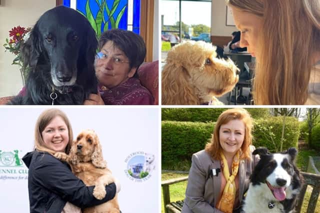 Some of the candidates hoping to be crowned Holyrood Dog of the Year 2023.
