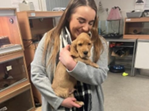 Central Scotland MSP Meghan Gallacher said: "I think we should be crowned Dog of the Year 2023 to give a platform to the amazing work of Dogs Trust and help all dogs in their care find their forever home this summer."