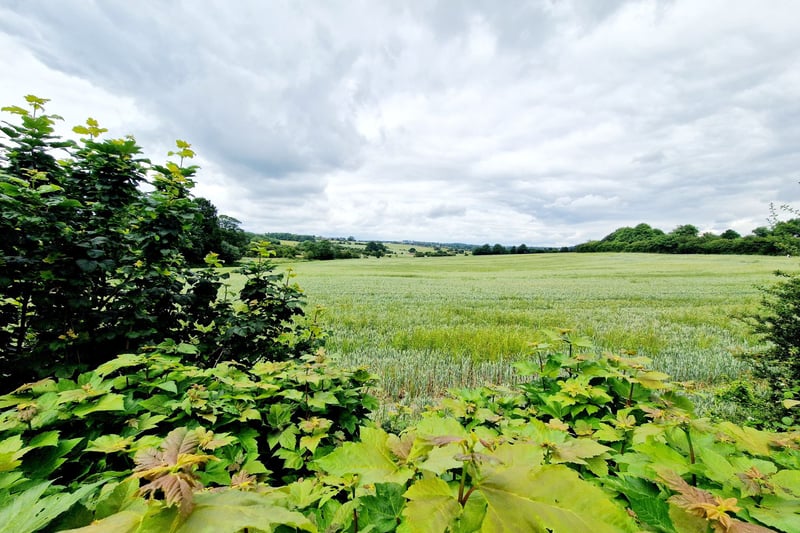 The view behind the property. Photo: Zoopla