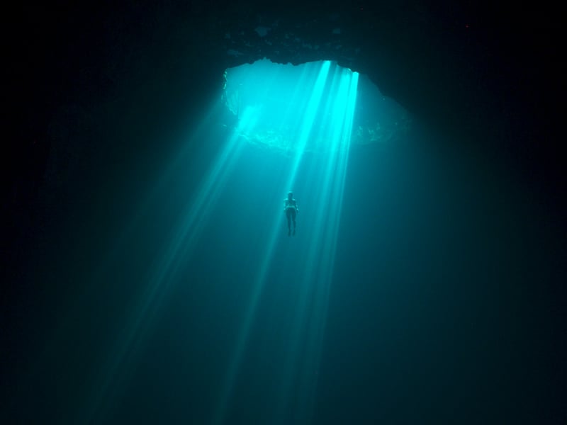 This A24 documentary follows the life of a champion freediver and expert safety diver and is highly anticipated.