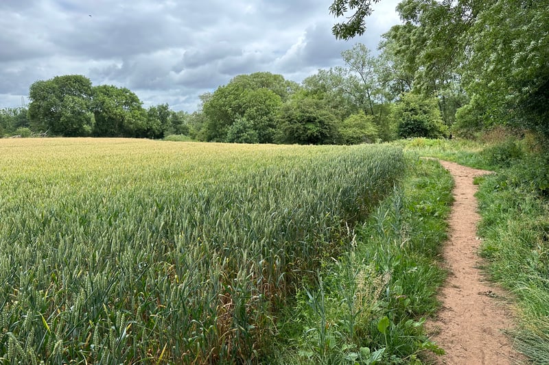After walking through Centenary Field, you reach a gate and a path which takes you around a field with the River Frome almost on your right hand side.
