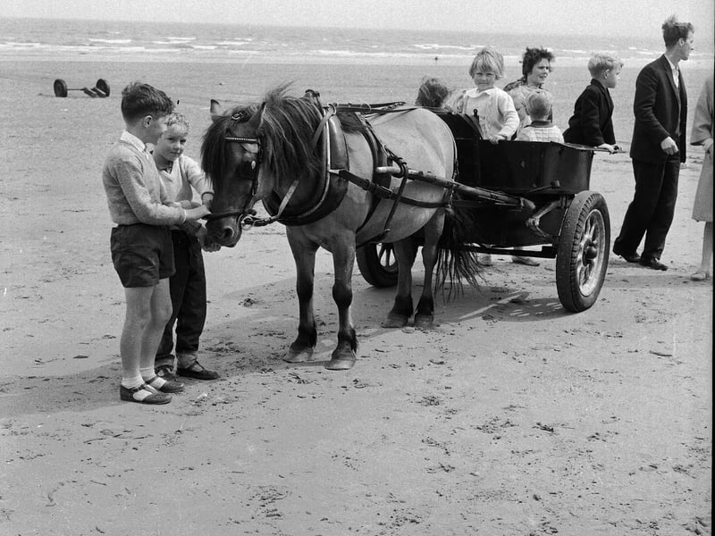 Children enjoy a pony and cart on Portobello Beach in 1965.