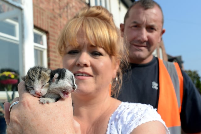 They're heroes.
Lynn Gunning from Animal Crackers with Ian Hammond who found these kittens dumped in a skip and rescued them in 2013.